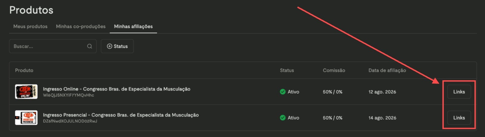 Passo 2 - Clicar em Links